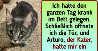 20 Haustiere, die zeigen, dass auch unsere Vierbeiner sich rührend um uns kümmern können