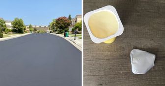 15 Bilder, die beweisen, dass Perfektion tatsächlich existiert