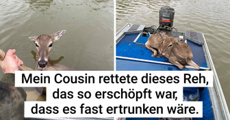 19 Bilder, die uns wieder an das Gute im Menschen glauben lassen