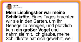 20 Haustiere, die eine Auszeichnung für ihre verrückten Streiche verdienen