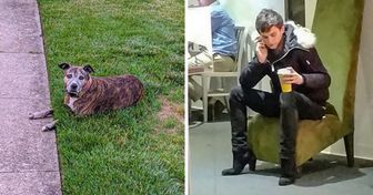 15 Mal spielt die Perspektive unseren Augen Streiche