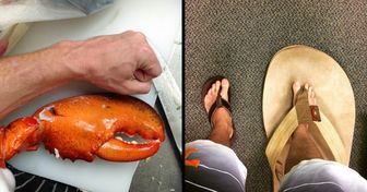 19 Beweise, dass selbst herkömmliche Dinge unvorstellbare Größen annehmen können