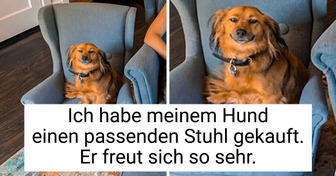 12+ Bilder, die dir das Herz erwärmen