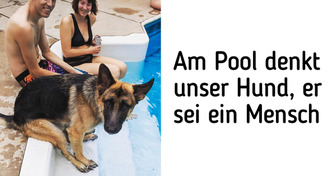 19 Fotos, die zeigen, dass Haustiere ihren Besitzern mit jedem Tag ähnlicher werden