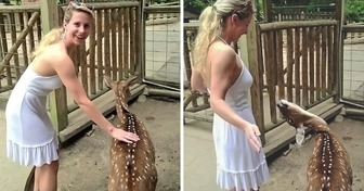 15+ Menschen, denen unerwartet eine Show dargeboten wurde