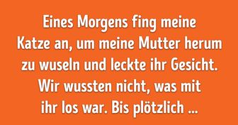 20+ Geschichten von Haustierbesitzern, die von der Intelligenz ihrer pelzigen Freunde überrascht wurden