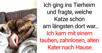 14 bewegende Bilder von menschlicher Nächstenliebe, die dich aufheitern werden