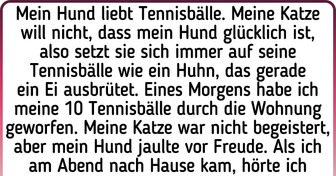17 Geschichten über Haustiere, die ihre Besitzer mit ihrem ausgeprägten Verstand überraschen