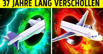 Ein seit 1955 vermisstes Flugzeug landet nach 37 Jahren