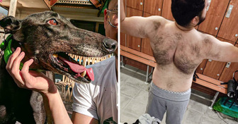 16 Aufnahmen mit perfektem Timing, die ein Geschenk des Universums sind