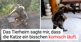 Warum machen sie das? 15 Haustiere, die dich zum Lachen bringen werden