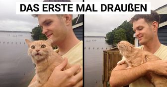 25 Mal erleben Tiere etwas zum ersten Mal und wir können nur schmunzeln