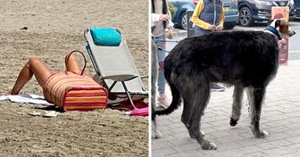 15 Doppeldeutige Bilder, bei denen wir zweimal hinsehen mussten