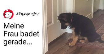 25 Fotos von Schäferhunden, die zeigen, was für liebe Geschöpfe sie sind