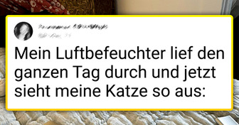 18 Tweets, die jeder mit einem vierbeinigen Freund verstehen wird