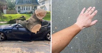 20+ Menschen, deren Glück einen Tag Pause gemacht hat