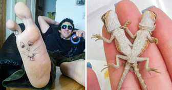 10+ Bilder, die die Schönheit der Einzigartigkeit wahrhaftig verkörpern