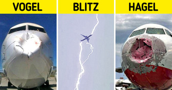 Piloten beantworten die 15 am häufigsten gestellten Fragen von Fluggästen