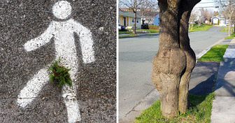 10+ skurrile Situationen, in denen Mutter Natur viel Humor bewiesen hat