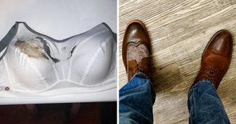 15 Bilder, die uns die wahre Bedeutung von Pech zeigen