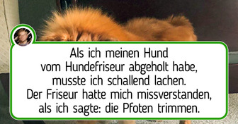 19 Haustiere mit einer witzigen neuen Frisur