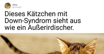20+ Tiere mit Genmutationen, die sie besonders und sympathisch machen