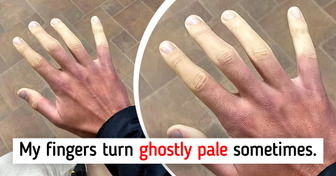 15 interessante Entdeckungen, die in ein Buch verwandelt werden wollen