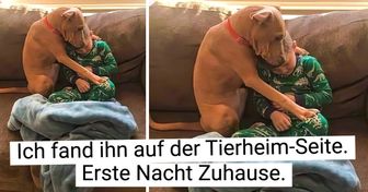 20 Haustiereltern und ihre “Kinder”, die einander über alles lieben