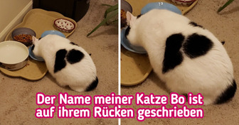 15 Dinge, die nicht zum täglichen Brot gehören