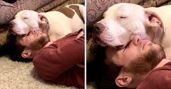 15+ Bilder beweisen einmal mehr, dass Tiere aus reiner Liebe gemacht sind