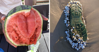 17 Fotos, die zeigen, dass die Natur immer eine Überraschung auf Lager hat