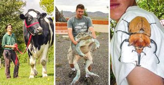 Wenn Größe alles ist: 20+ Tiere, die so groß sind, dass man zweimal hinschauen muss