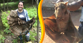 Diese 20 Fotos zeigen, dass die Natur immer wieder eine neue Seite voller Wunder bereithält