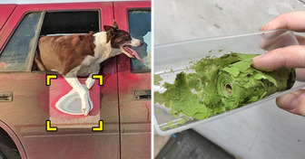 20 Bilder, die zeigen, was die Zeit mit Dingen anstellt