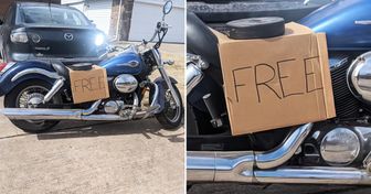 25 Menschen, die das Glück hatten, tolle Sachen umsonst bekommen zu haben