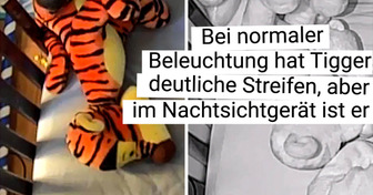 14 Internetnutzer, die überraschende Entdeckungen gemacht haben