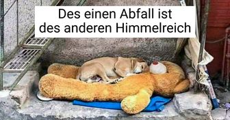 15 Fotos, die zeigen, wie dankbar wir für unser Leben sein dürfen