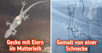 16 Menschen, deren einzigartige Entdeckungen uns in Erstaunen versetzt haben