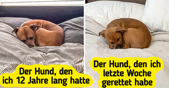 14 Bilder, die dir den Tag versüßen werden