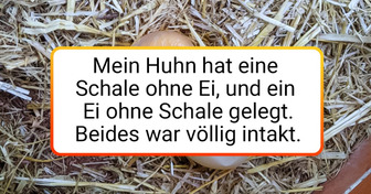 12+ Fotos, die beweisen, dass die Welt noch immer voller Wunder steckt