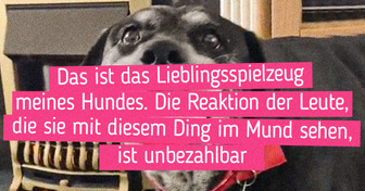 19 Tiere, deren Lieblingsspielzeug viel mehr als nur der Unterhaltung dient