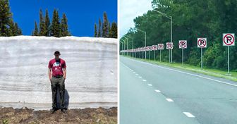 20+ Menschen, die mit einem einfachen Foto gezeigt haben, was ihr Land von anderen unterscheidet