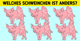 Test: Stell dich selbst auf die Probe und löse diese 12 visuellen Rätsel so schnell wie möglich