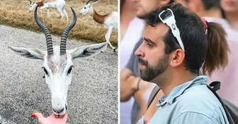 16 Bilder, bei denen du dich fragen wirst, ob du nicht lieber zum Augenarzt solltest