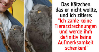 20+ Haustiere, die ihre Besitzer so sehr lieben, dass man es in ihren Augen sehen kann