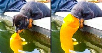 18 Menschen, deren Photoshop-Künste uns zum Weinen bringen