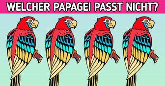 Herausforderung: Finde den Eindringling auf 15 Bildern in weniger als 5 Minuten