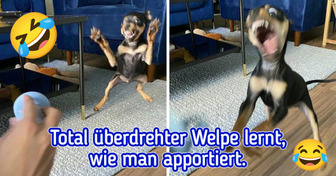 20 Haustiere, die keine Ahnung haben, wie dusselig sie aussehen