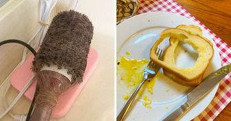 20 Beweise dafür, dass wir selbst bei den einfachsten Dingen nicht immer logisch handeln