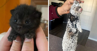 18 Bilder, die ein breites Lächeln auf euer Gesicht zaubern werden